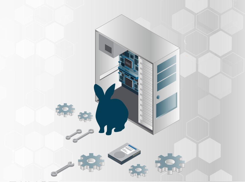 Bunny Building a Server